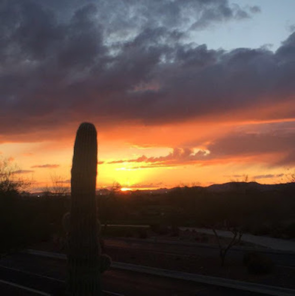 Meet your Posher, Josh - Picture 1 of 1